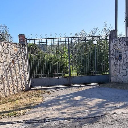 Villa Oleandro Ciccino Вьесте Экстерьер фото